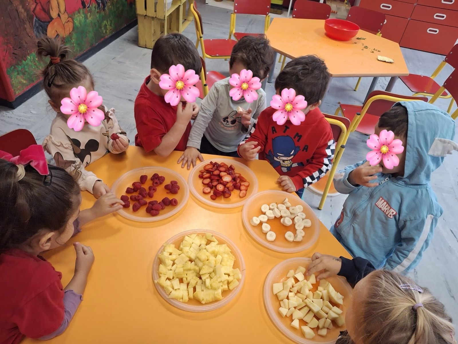 Attività della Sezione Primavera