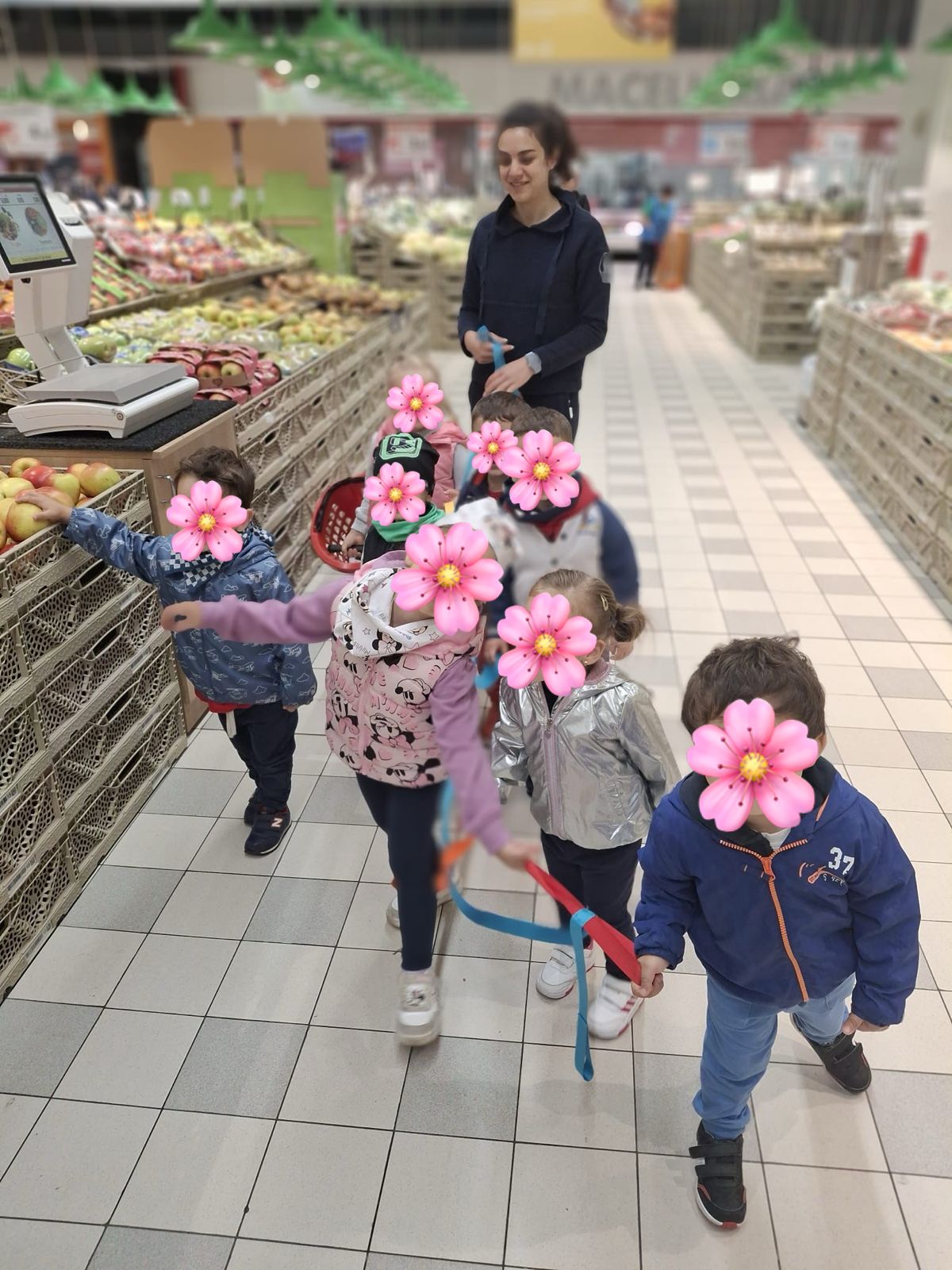 Attività della Sezione Primavera
